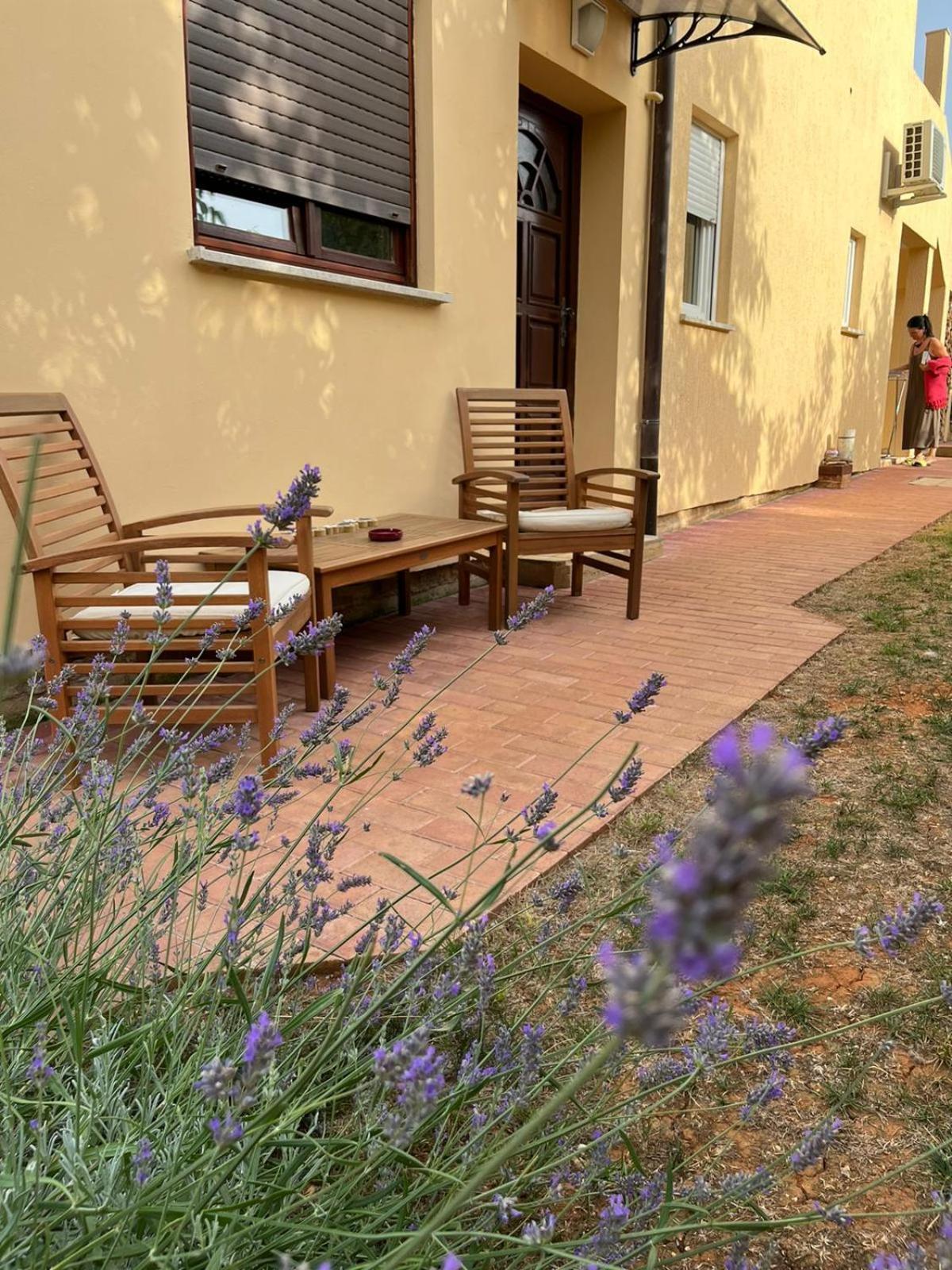 Studio apartman SAN 3 Ližnjan Cameră foto