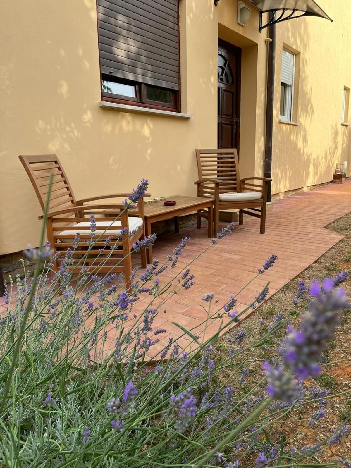 Studio apartman SAN 3 Ližnjan Cameră foto